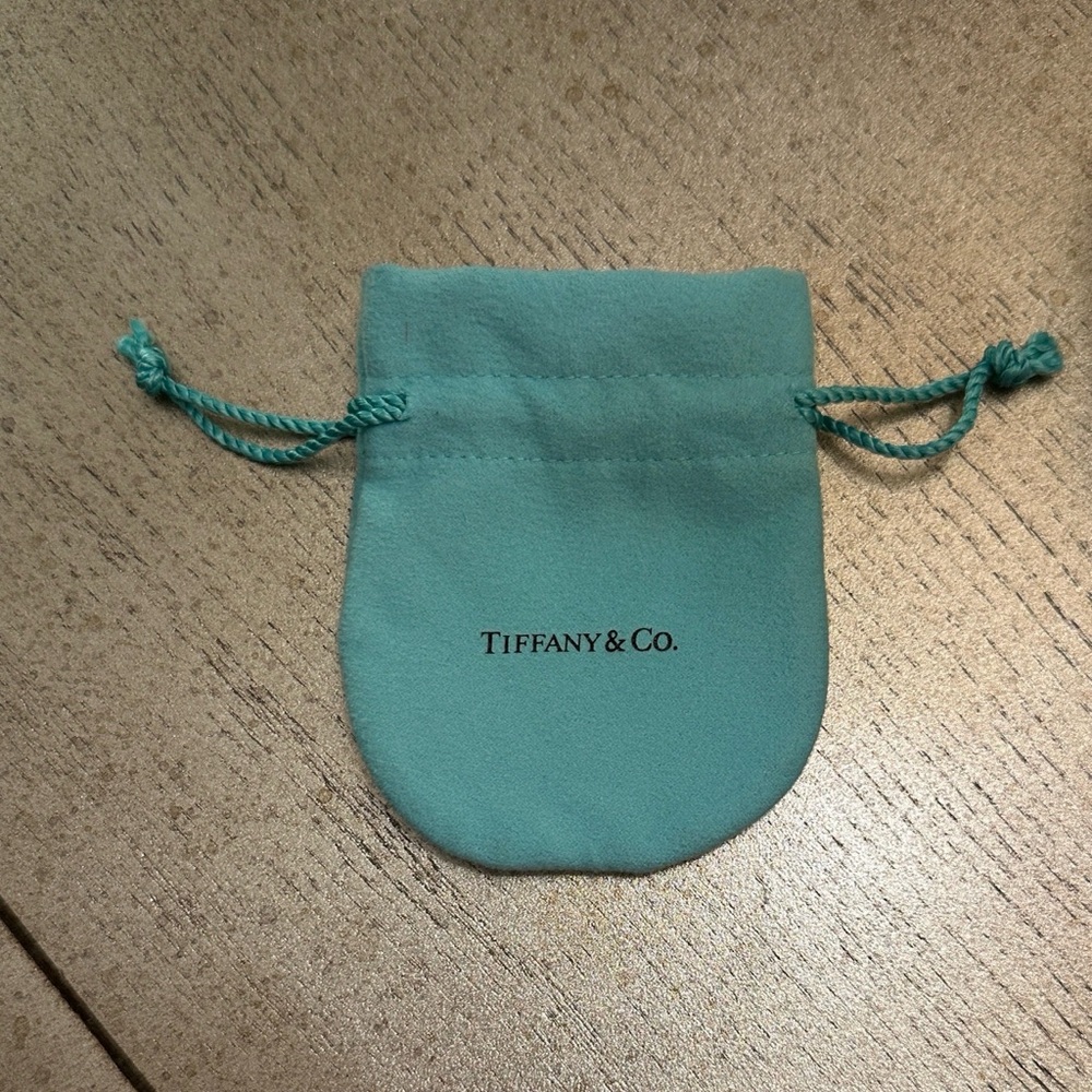 🛍️SALE🛍️ Tiffany & Co. Turquoise Jewelry Pouch